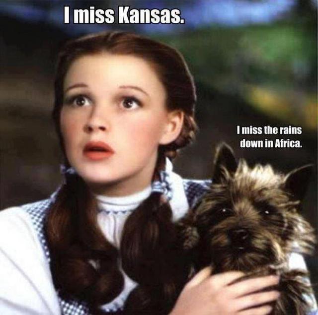 Poor Toto