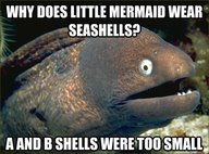 Why Does The Little Mermaid Wear Seashells?