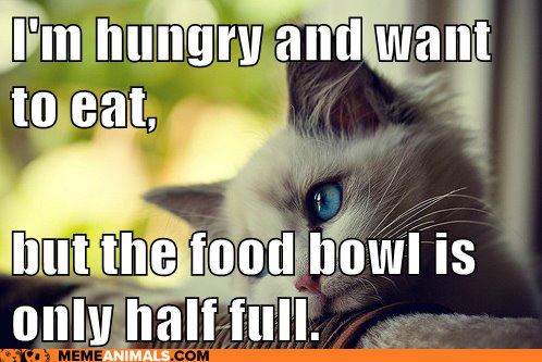 I'm hungry and want to eat ... but the food bowl is only half full