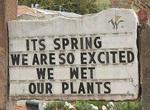 It's Spring!  We are so excited we wet our plants!